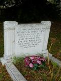image number Mulley Denis G 089